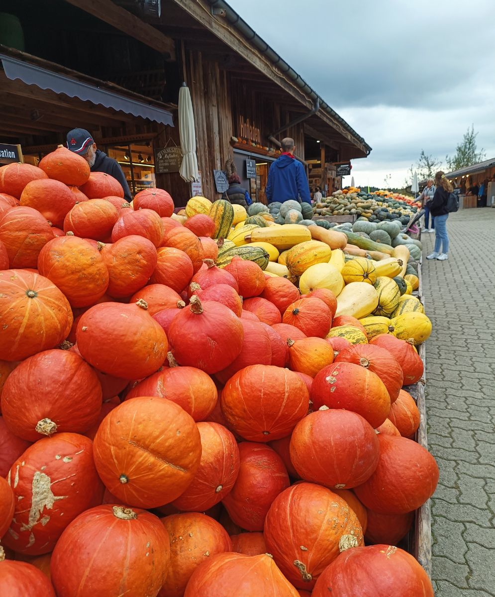 Acheter courges en Suisse